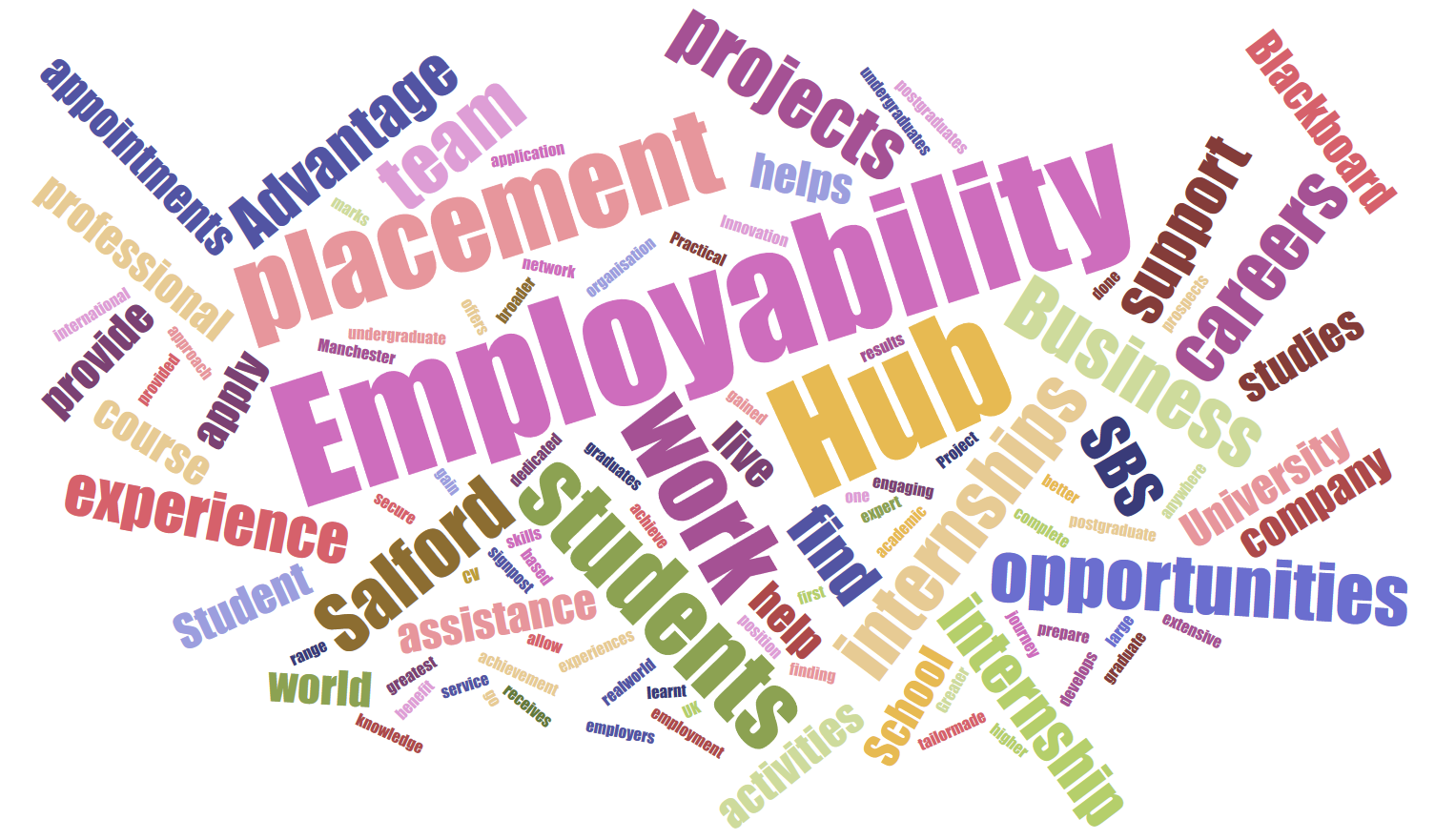 Words To Describe Work Placement