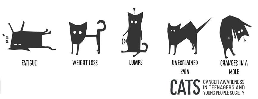 CATS 5 Signs