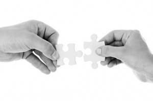 successful partnership