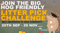 The Big Hog-Friendly Litter Pick Challenge