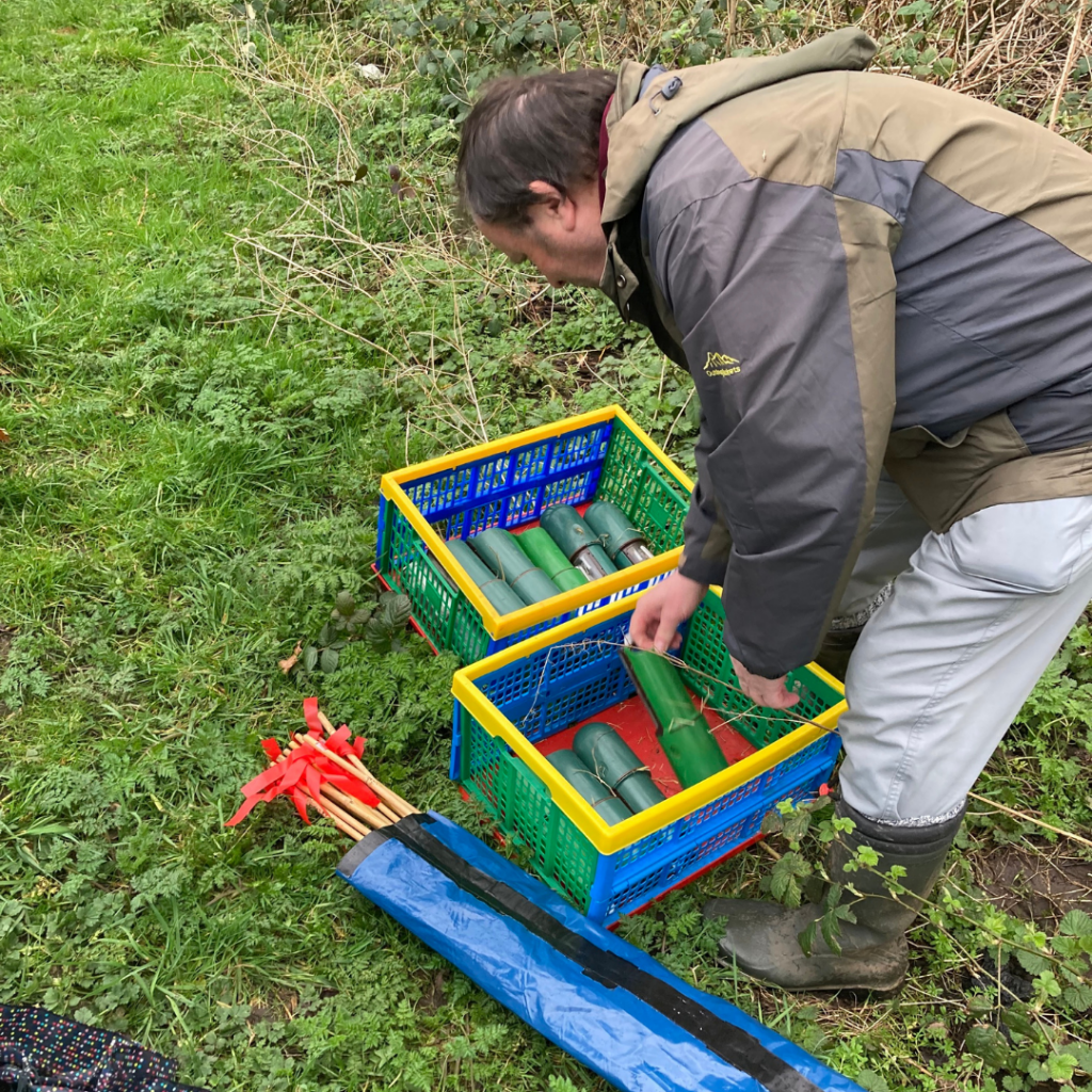 Man setting up the small mammal traps
