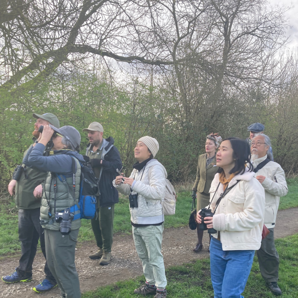 A group of people bird spotting