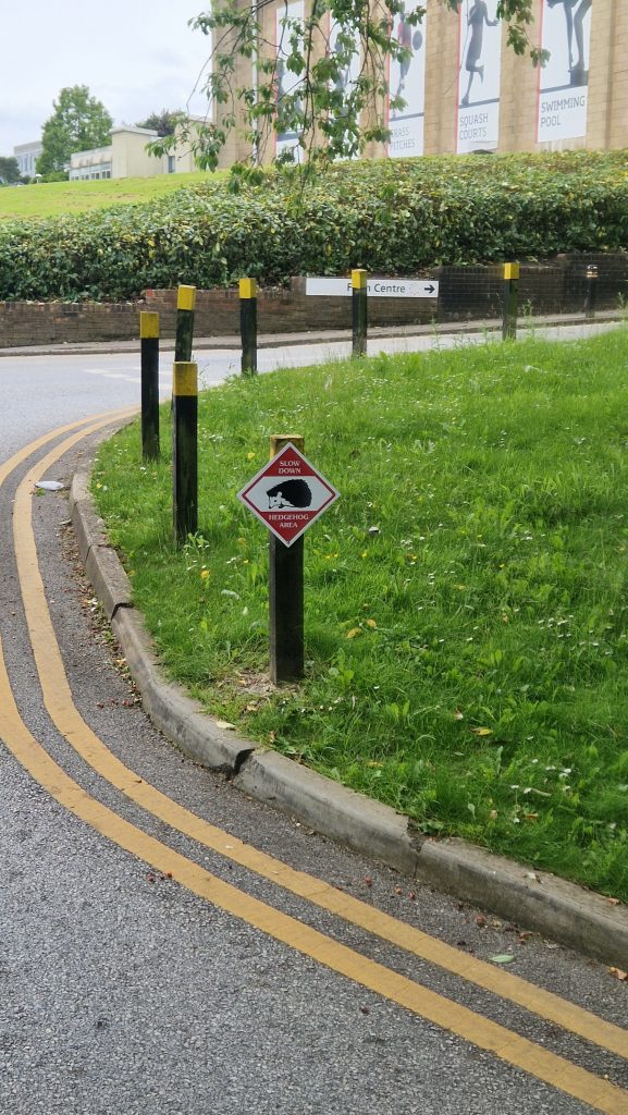 Hedgehog road sign on a wooden pillar