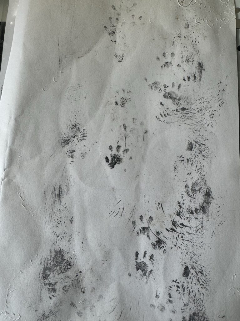 Ink prints of a hedgehog