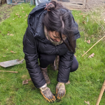 Planting a hedgerow in the community growing space