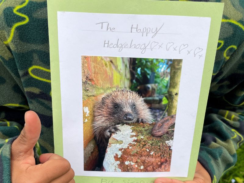 A child holding a hand-written story book titled "The Happy Hedgehog", with their thumb up.