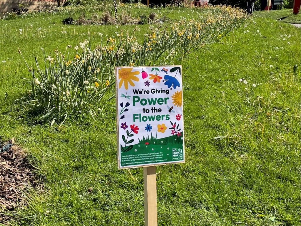 A sign saying "We're giving power to the flowers" on campus.