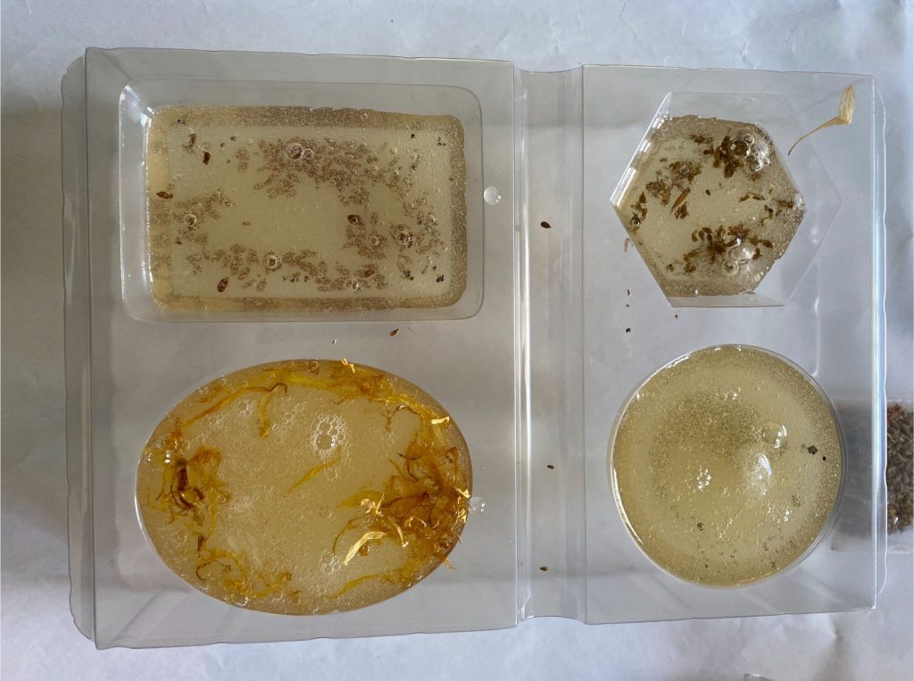 Four handmade soap bars setting in a plastic mould