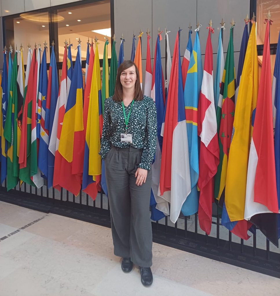 A lady wearing smart trousers and a patterned green top and a lanyard, smiling stood in front of multiple large flags from around the world.