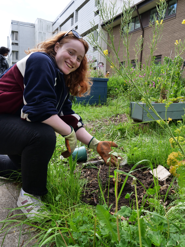 Iona wearing gardening gloves works in a campus garden bed surrounded by grass, wildflowers and raised planters, with university buildings in the background.
