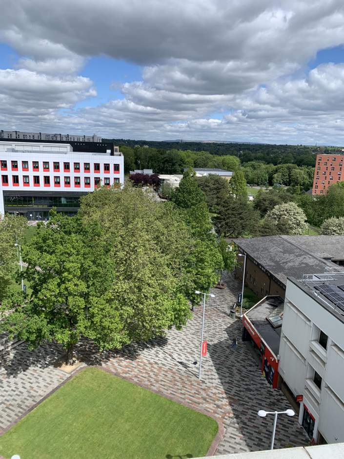 View of the University of Salford campus with green trees, campus buildings and walkways under a cloudy sky.