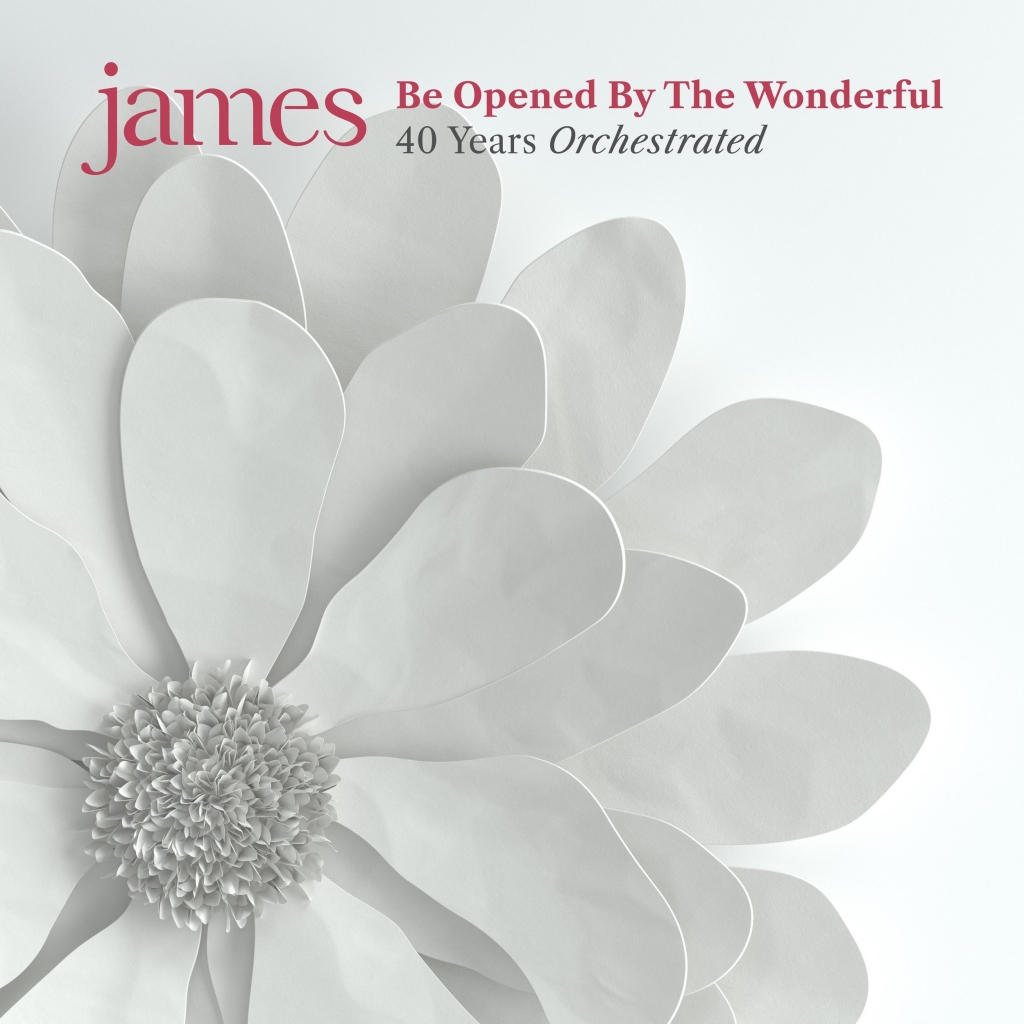 James, Be Opened by the Wonderful art design a white flower.
