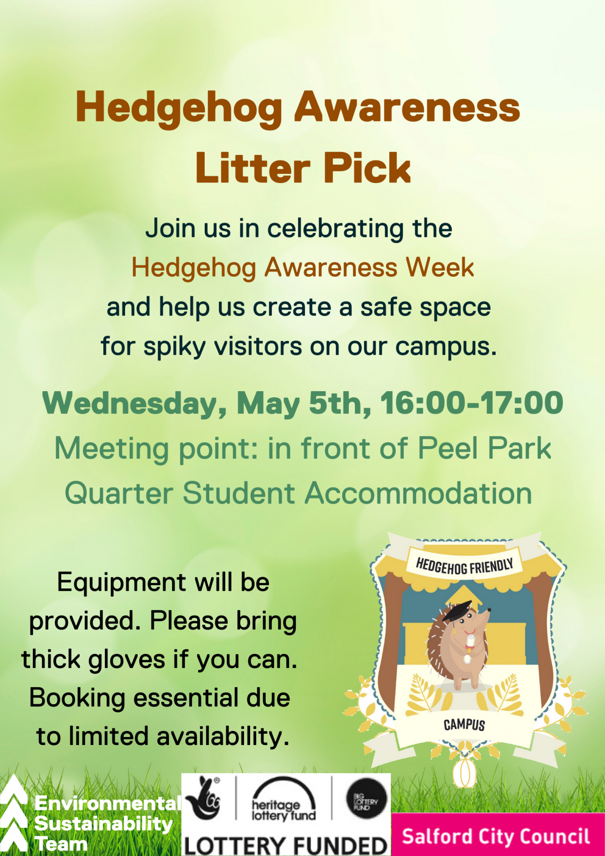 How littering affects hedgehogs Hedgehog Friendly Campus