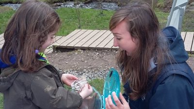 Lori working with wildlife