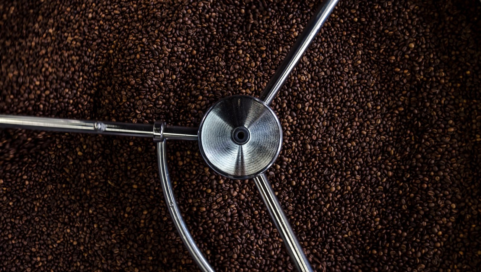 Coffee grinder
