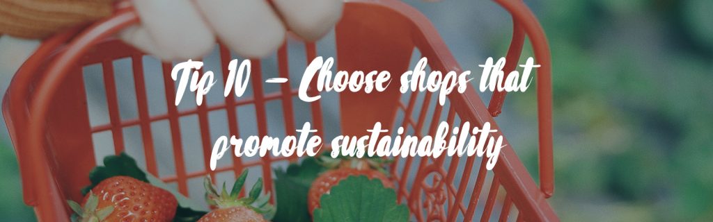 The image source is Photo by Raychan on Unsplash. In the background shows the hand of someone wearing a mustard yellow jumper holding a small red metal basket that is filled with fresh strawberries. In the foreground white text reads 'Tip 10 - Choose shops that promote sustainability'