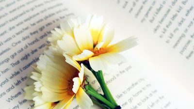 flowers laid on top of an open book
