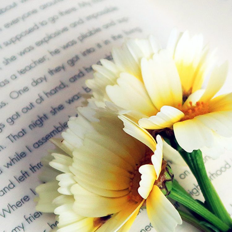 flowers laid on top of an open book