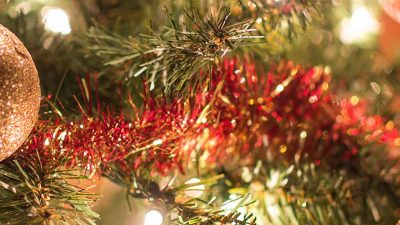 Photo of Christmas tree Decorations