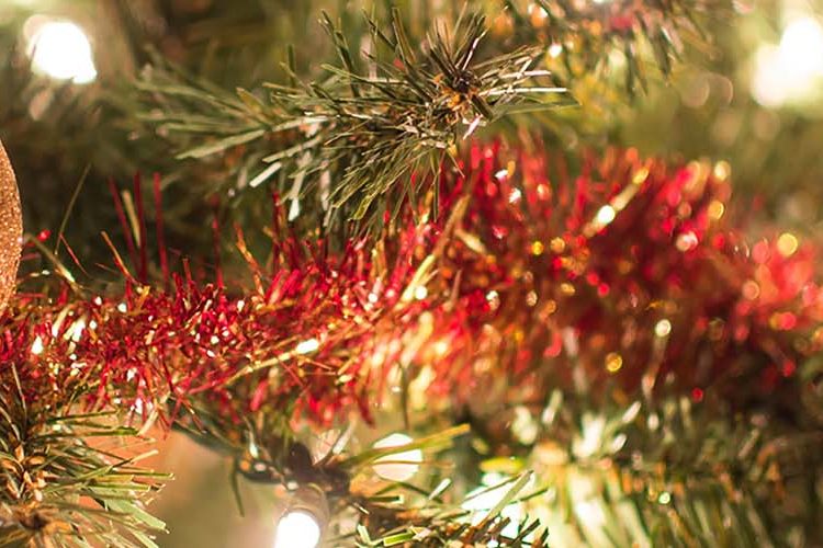 Photo of Christmas tree Decorations