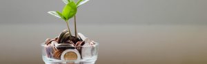 Photo of green plant with coins inside a transparent cup