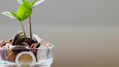 Photo of green plant with coins inside a transparent cup