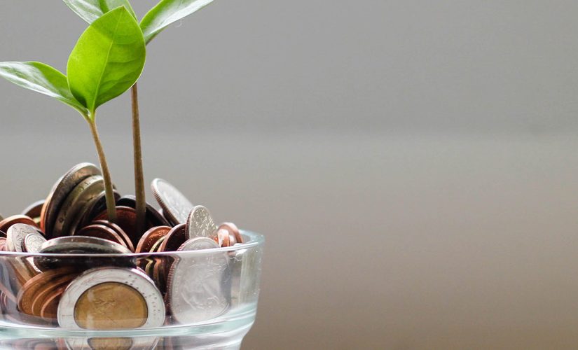 Photo of green plant with coins inside a transparent cup
