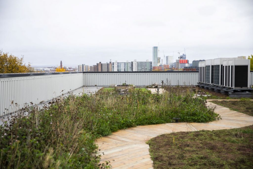 The green roof as part of the IGNITION project