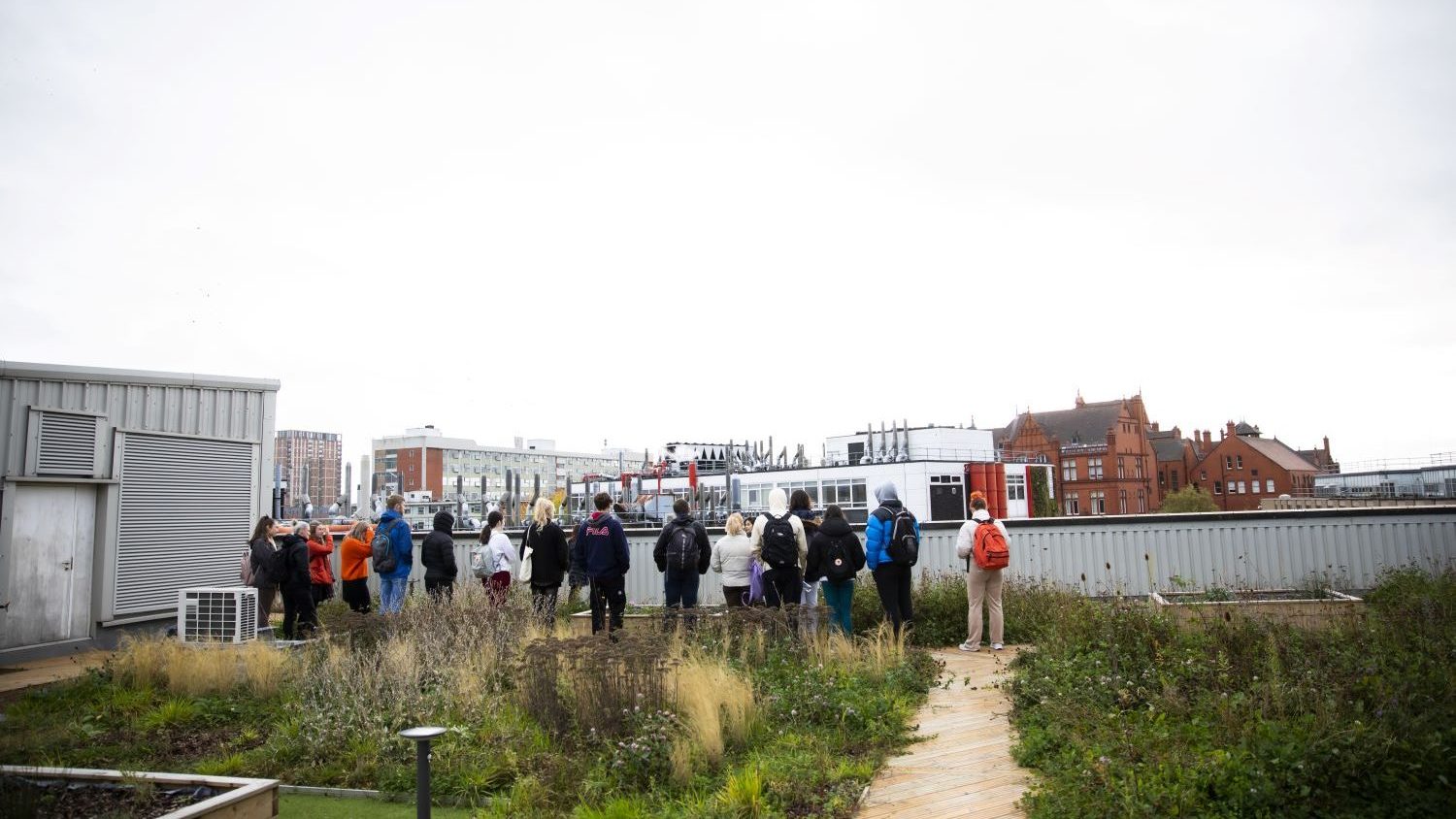 Environment students explore the green roof