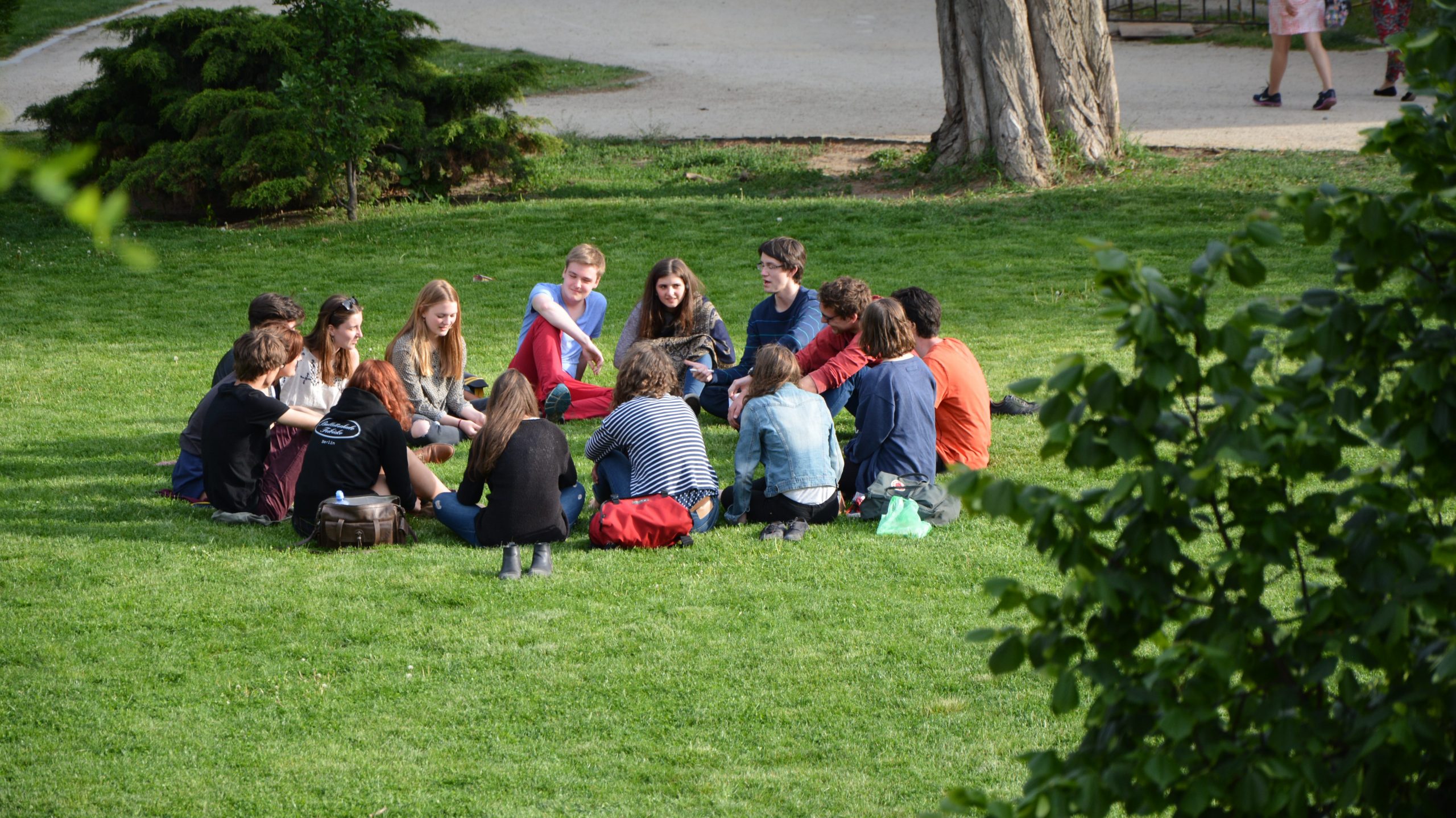 A group of young people sitting and talking on the grass in a circle in a sunny day. 