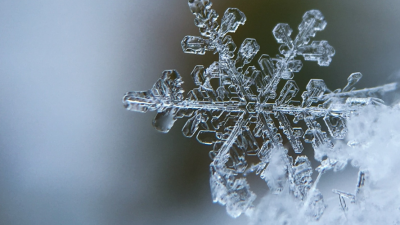 a zoomed in photo pf a snow flake