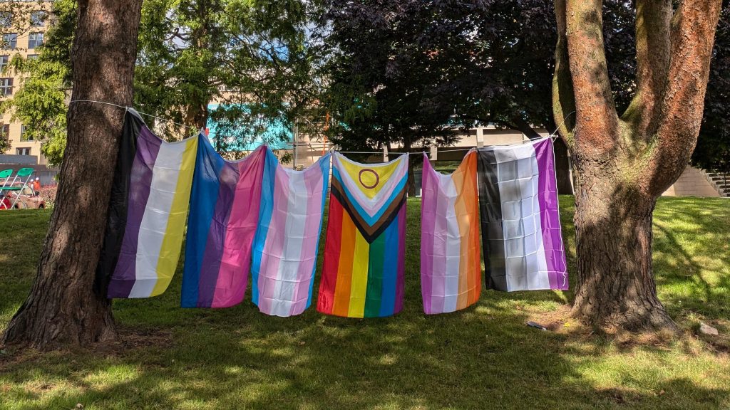 LGBTQ+ flags hanging between two trees on Peel Park Campus.