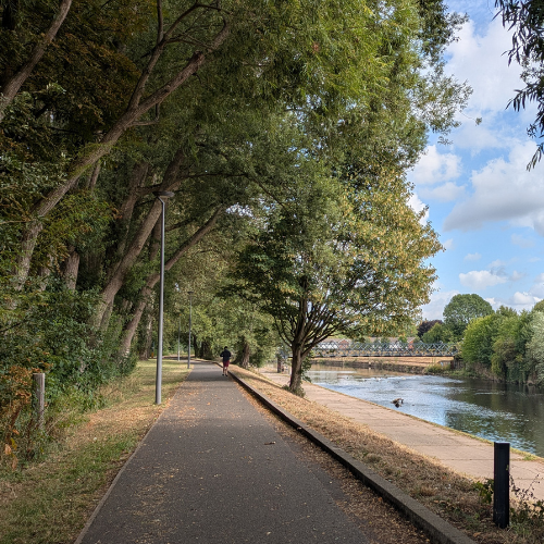A path with trees and a river