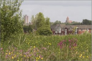 Salford Meadows